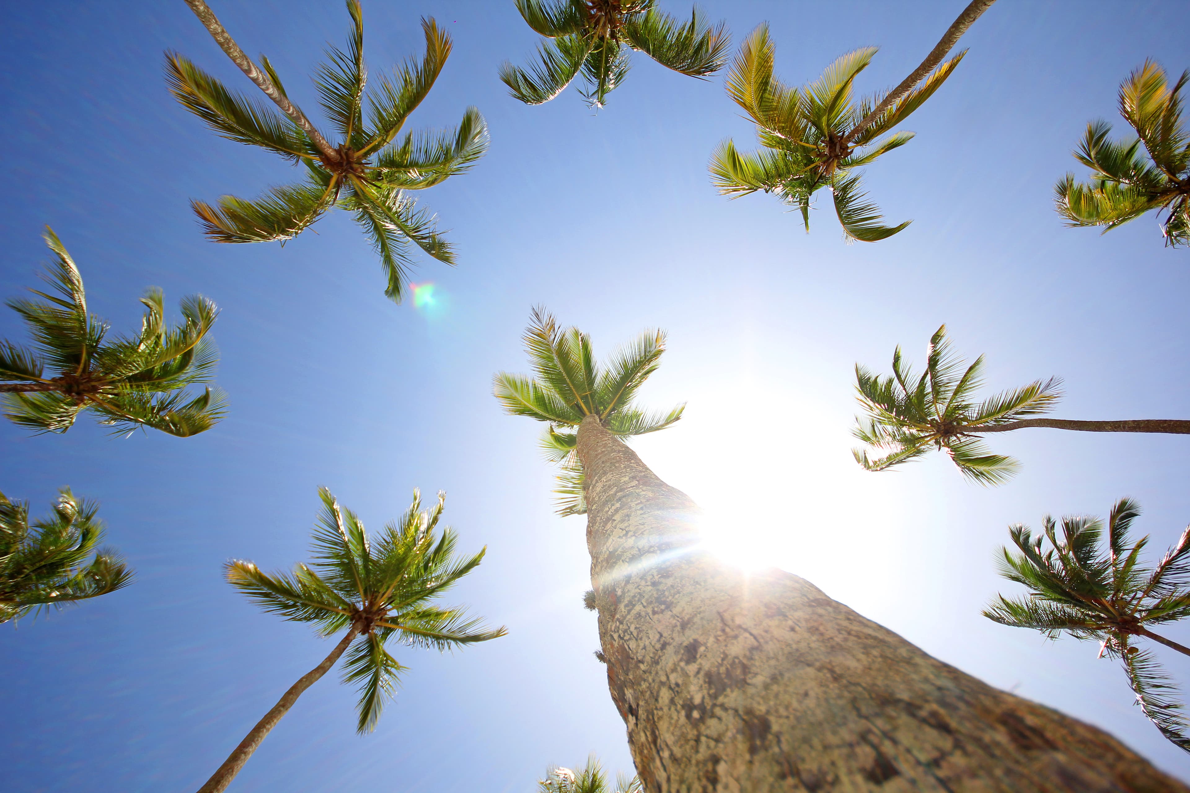 Imagem background 11